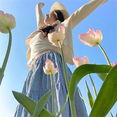 怪兽航线 在线观看